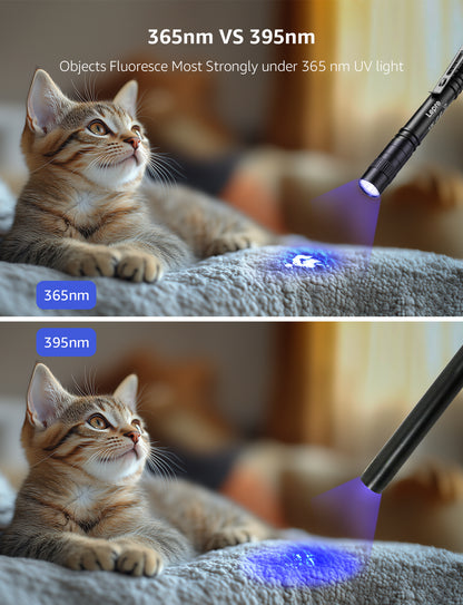 Lepro Small UV Flashlights with AAA Batteries , Portable Black Light Pet Urine Detectors with 365nm Wavelength Specialize in Detect Pet Dog Cat Urine Stain and more