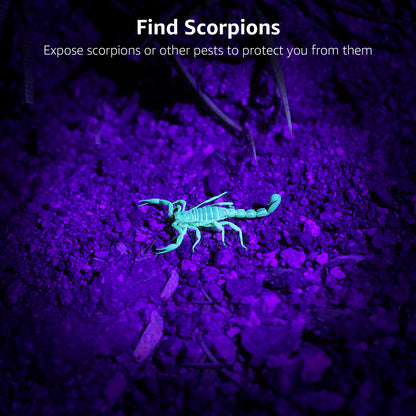 Lepro UV Flashlight Black Light 51 LED UV Light Handheld Blacklight 395nm Detector for Pet Urine, Stains, Bed Bug and Scorpions, Battery Not Included